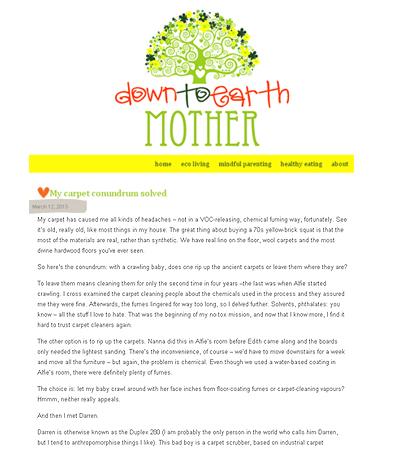 My Carpet Conundrum Solved Article